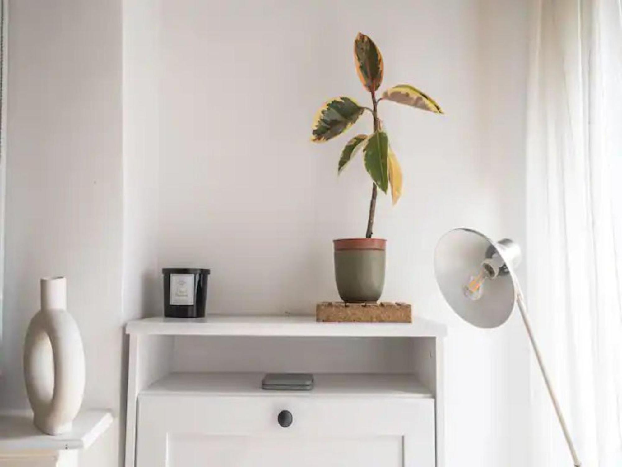 Pass The Keys Hither Ground Floor Flat With Garden * Londra